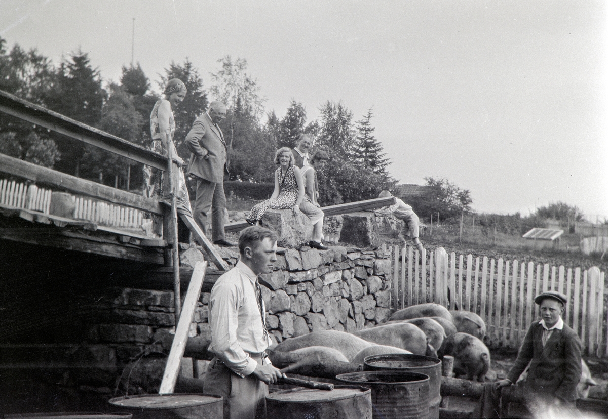 På Ottestad Nordre.
Foring av griser en søndags formiddag «trommeslager» Gustav Gjestvang (1906-1985) slår på tønner. Ukjent til høyre.
På låvebrua th Eli Melbye, født Gjestvang (1911-2004), Gulbrand Gjestvang (1874-1965). Andrea Glærum, født Gjestvang (1914-1993). Valborg Alhaug, født Gjestvsng (1904-1992). bak Ella Gjestvang, født Såstad (1881-1949),  ukjent.