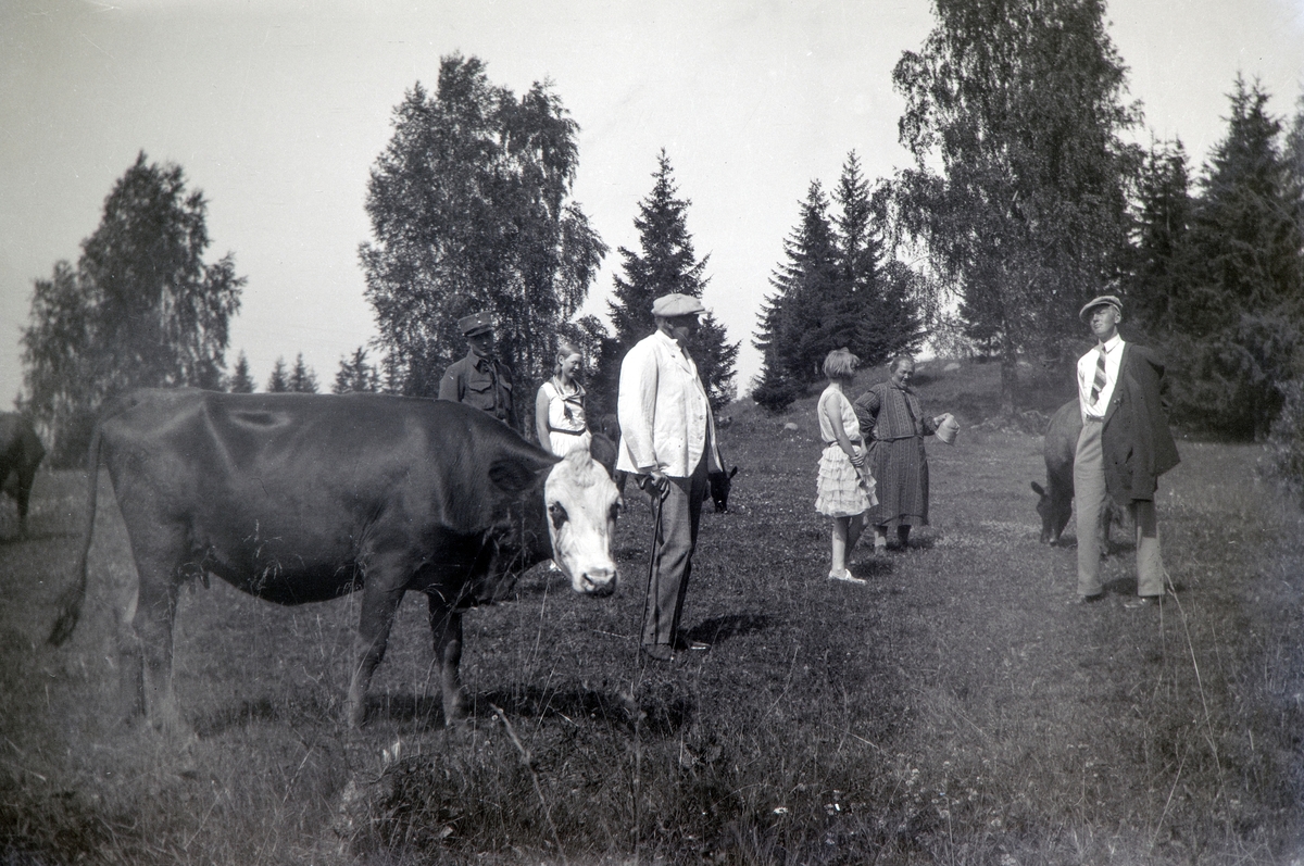 Søndags utflukt til kuene på enga, Nordre Ottestad. Fra venstre: Odvar Kristen Gjestvang i militæruniform (1908-2002). Eli Melbye, født Gjestvang (1911-1993). Andrea Margrethe Glærum, født Gjestvang (1914-1993). Ella Gjestvang, født Eli Cecilie Såstad (1881-1949). Gustav Jørgen Gjestvang (1906-1985). Og helt foran Gulbrand Gjestvang (1876-1965). Tatt ca 1930.