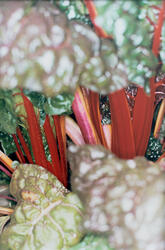 Colors toward the end (grønnsaker)