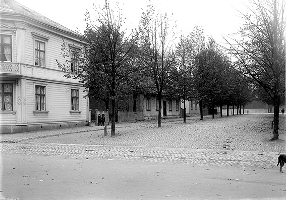 Fredsgatans västra sida sedd från Hamngatan runt förra sekelskiftet.