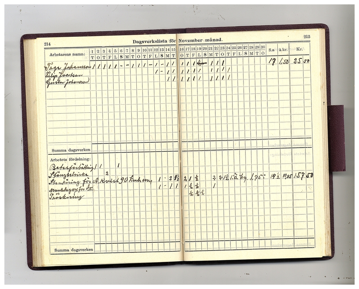 Gullereddagboken 1927 (Filip)