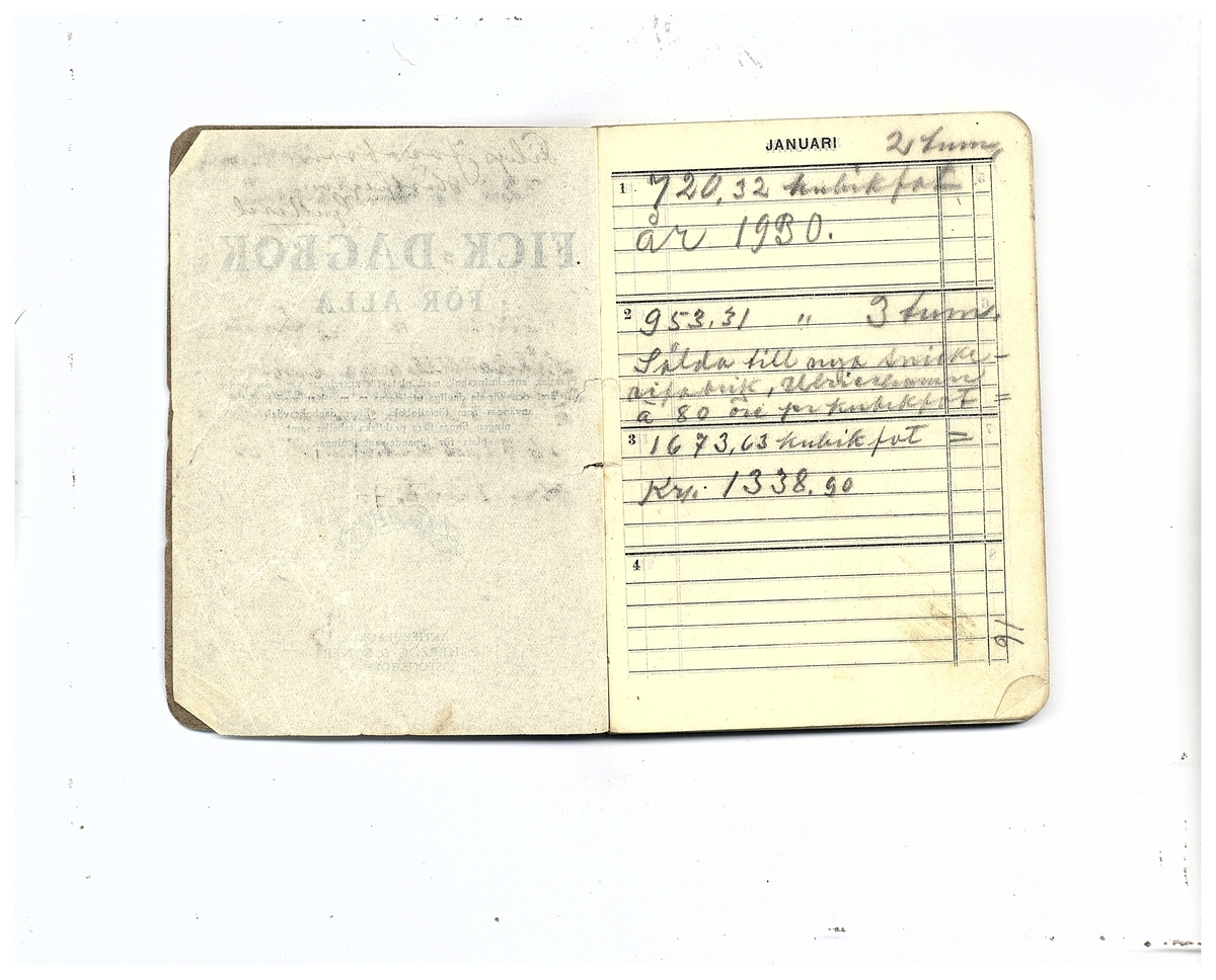 Gullereddagboken 1929 (Filip)