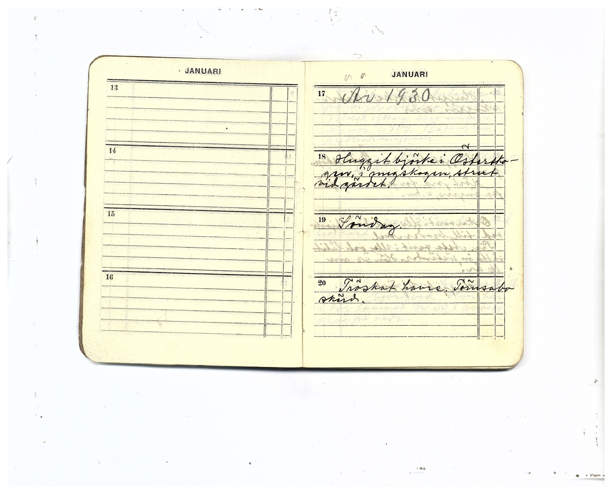 Gullereddagboken 1929 (Filip)