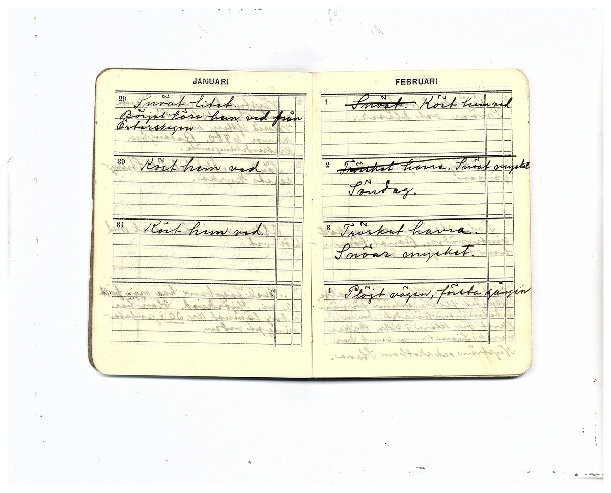Gullereddagboken 1929 (Filip)