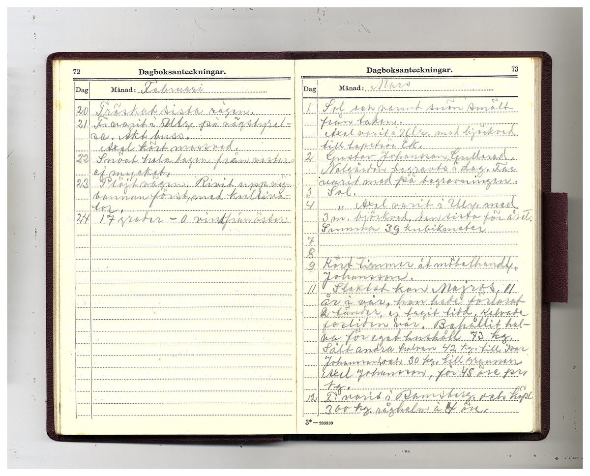 Gullereddagboken 1929 (Filip)