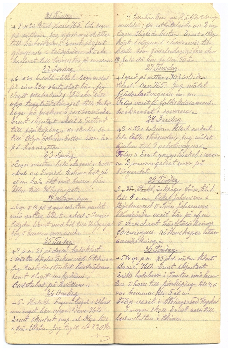 Gullereddagboken 1929 2