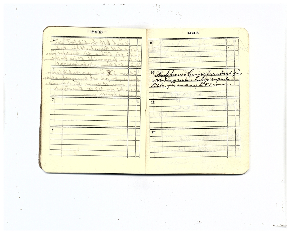 Gullereddagboken 1929 (Filip)
