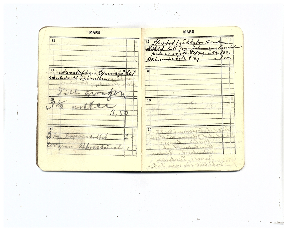 Gullereddagboken 1929 (Filip)