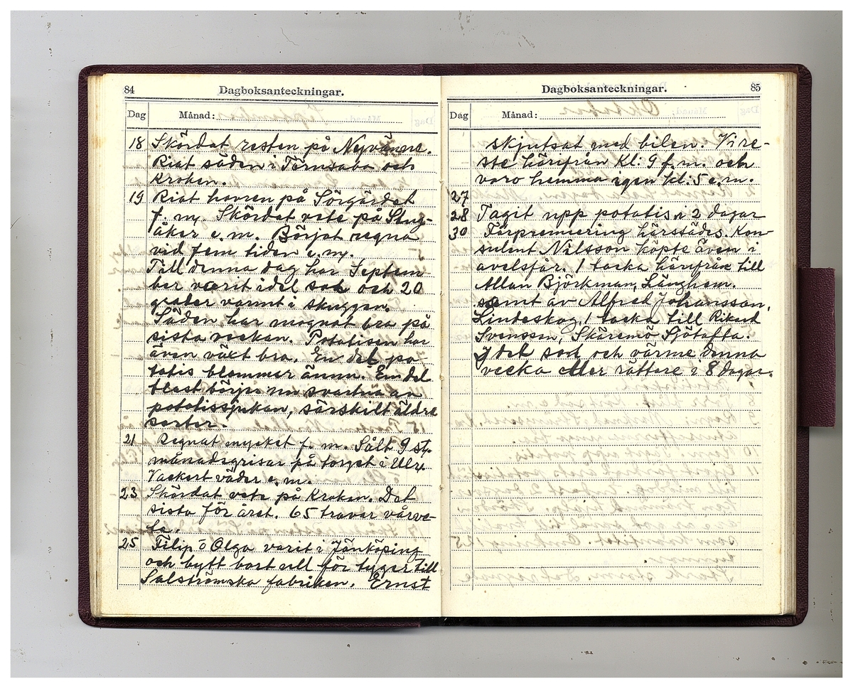 Gullereddagboken 1929 (Filip)