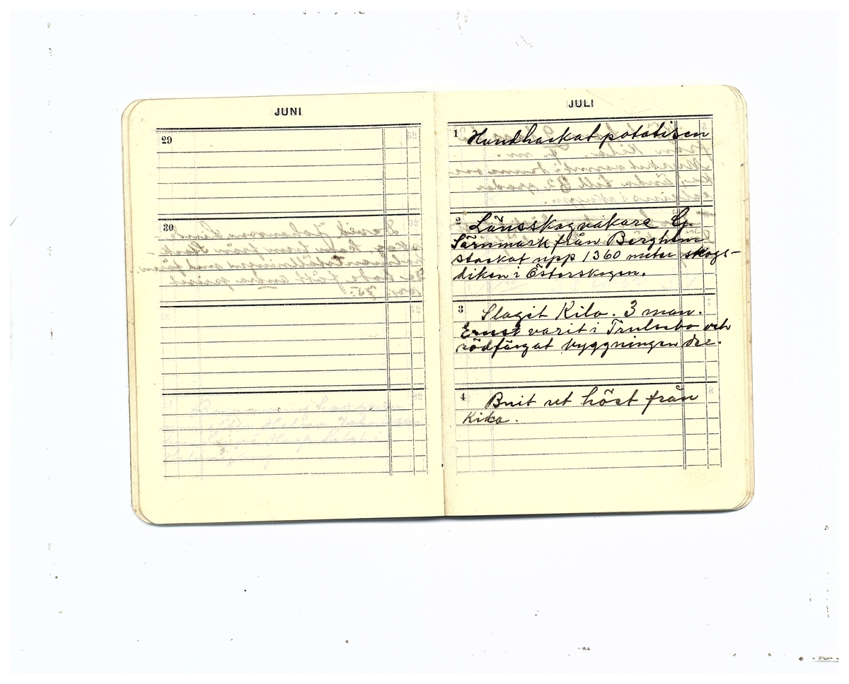 Gullereddagboken 1929 (Filip)