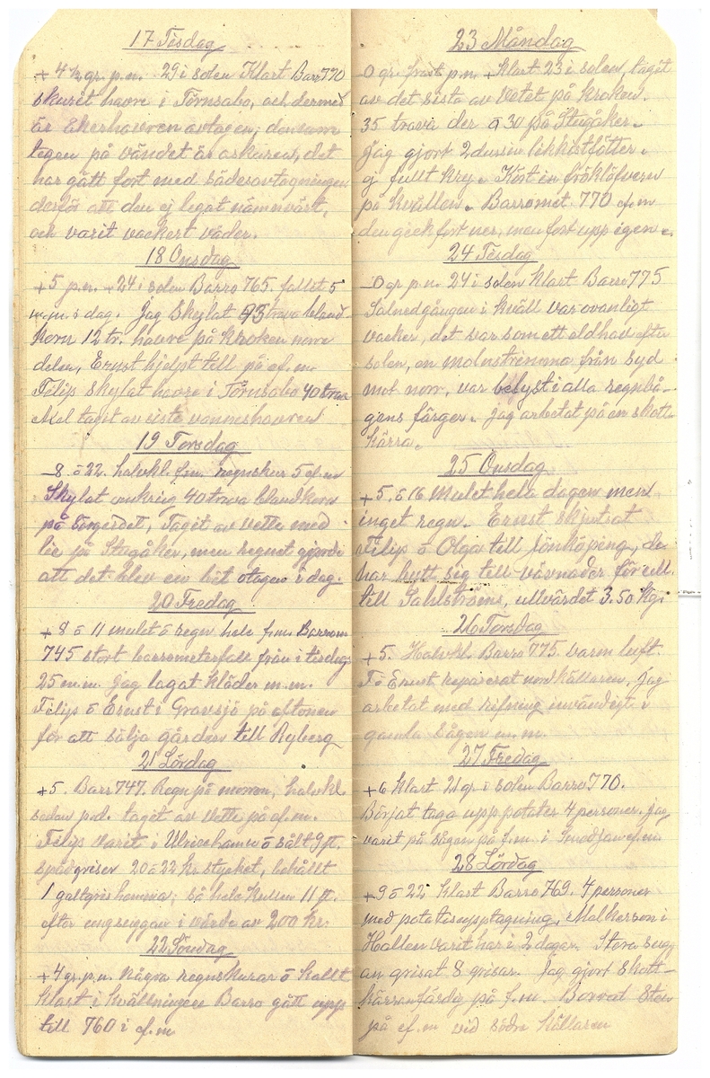 Gullereddagboken 1929 2