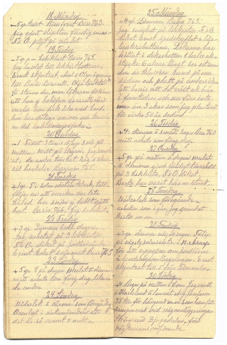 Gullereddagboken 1929 2