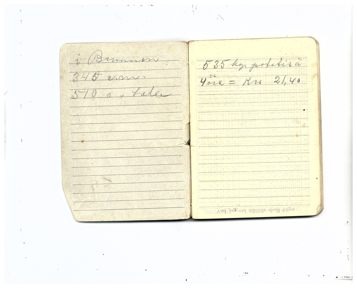 Gullereddagboken 1929 (Filip)