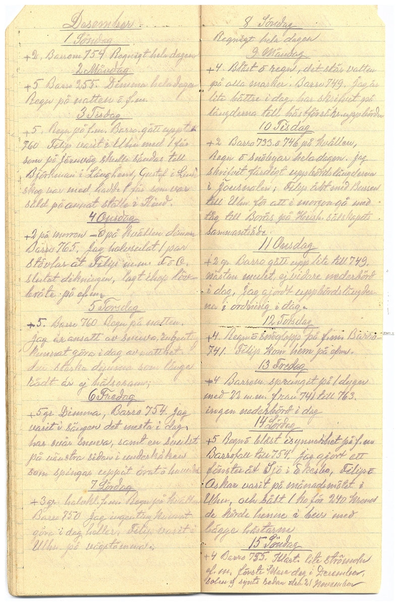 Gullereddagboken 1929 2