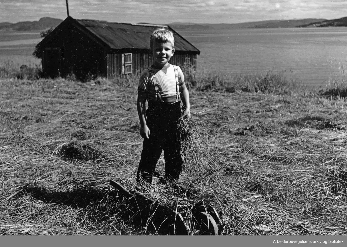 Kristian Kristiansen (1909–1980). Forfatter. "Trondheimsfjorden sett fra Adrianstua". Antatt K. Kristiansens sønn Paul på 5 år. 1956. Magasinet for Alle