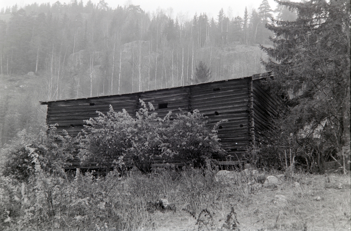Ringsaker, Ring, Nordberg, Berg store, laftet stall låve fra 1875, eksteriør stall-låve, 