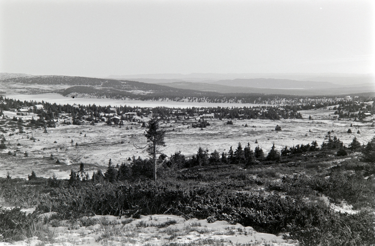 Sjusjøen, Ringsaker, utsikt, vinter.
