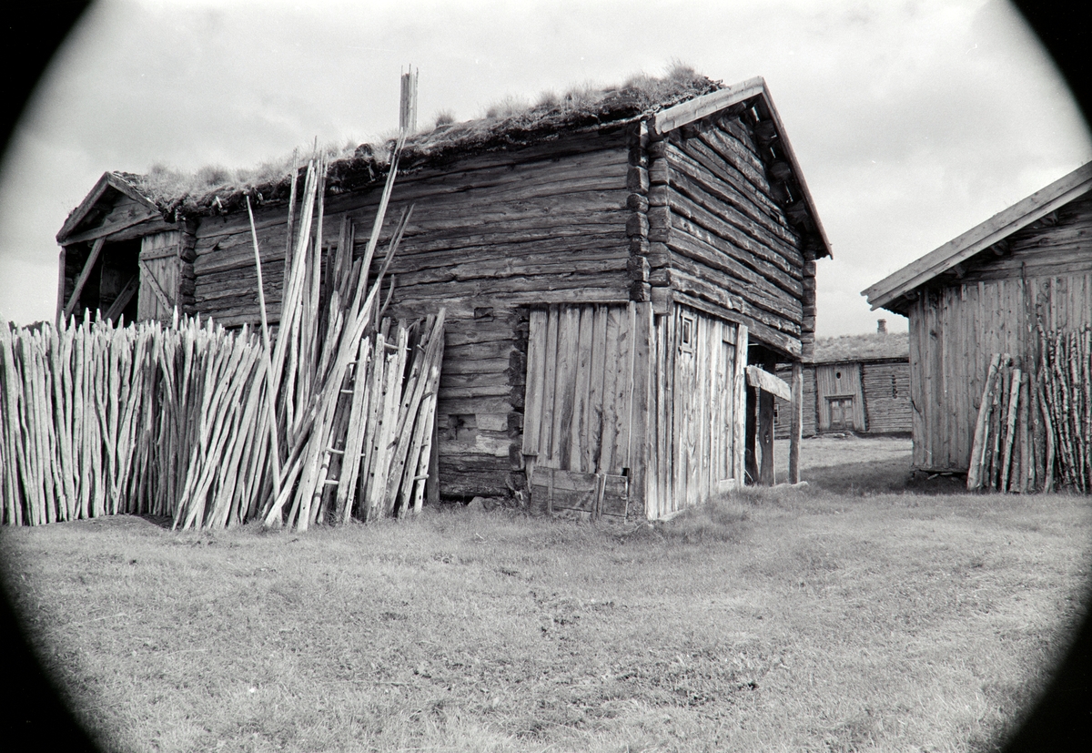 Åsvollen, Vingelen, Tolga. (Åsan (på Åsom) setergrend, Stortrøvollen, Vingelen, Tolga)