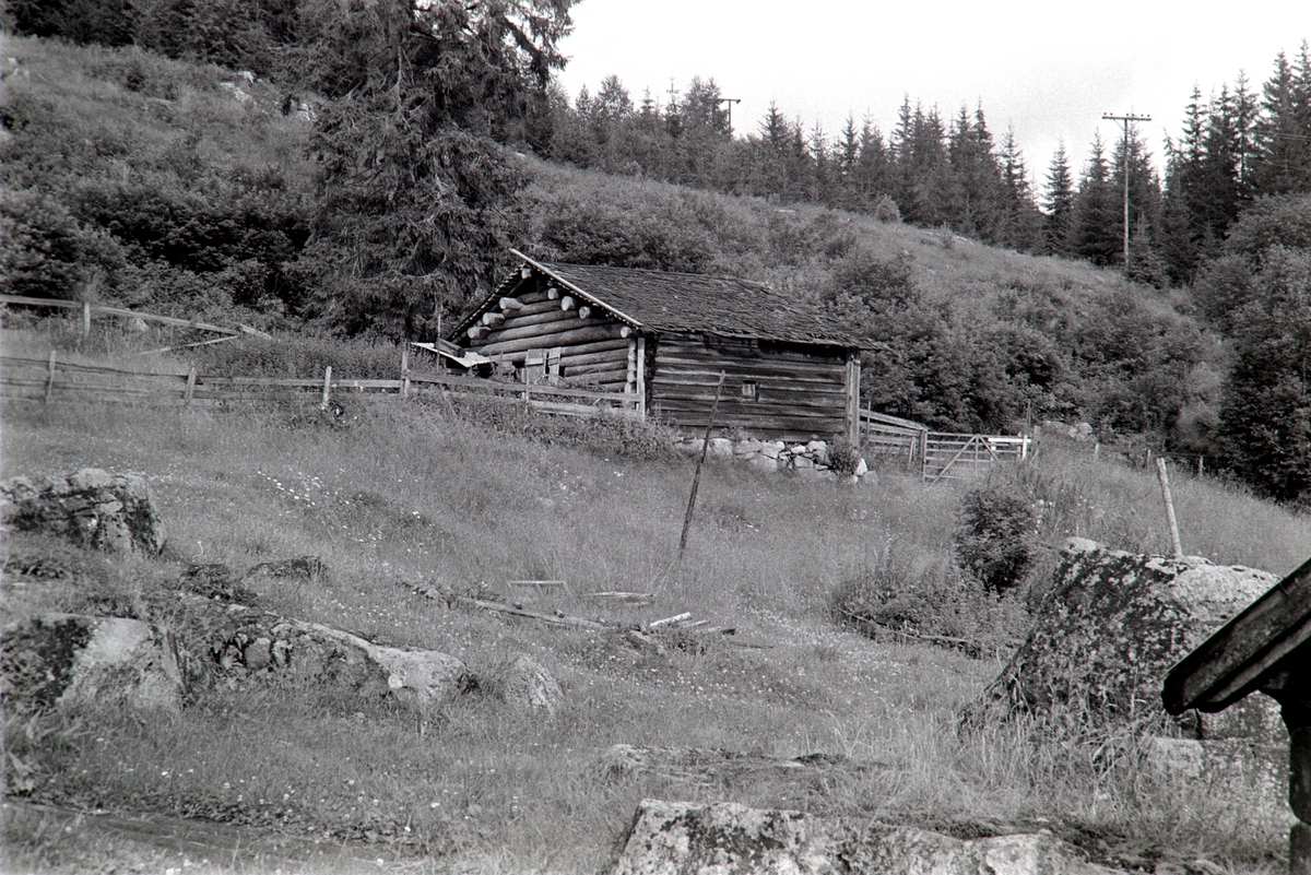 Opptjernsholen, "Skjesetra", Romedal allmenning, sommerfjøs.