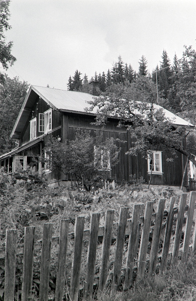 Opptjernsholen, "Skjesetra", Romedal allmenning, hovedhus.