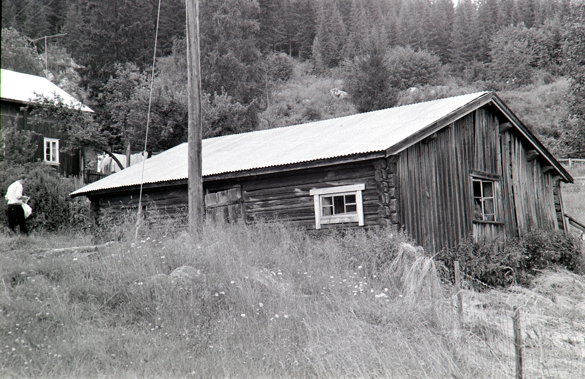 Opptjernsholen, "Skjesetra", Romedal allmenning, bu og størhus, sett fra sør.