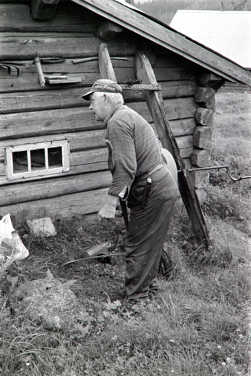 Opptjernsholen, "Skjesetra", Romedal allmenning, Harald Mathiassen, ljå,