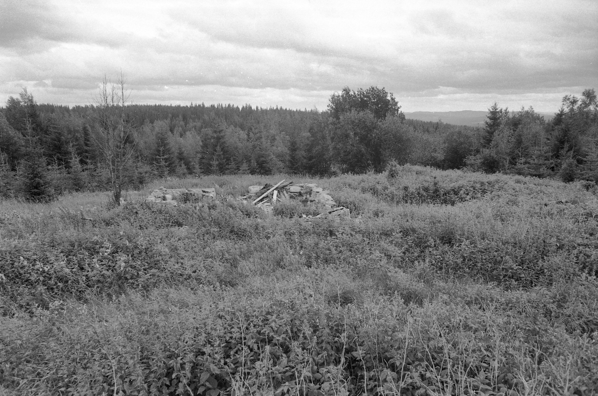 LØVBERGET, NOTLIA, GRUE FINNSKOG i Solør. F. O. M. 12292 T. O. M. 12302. 