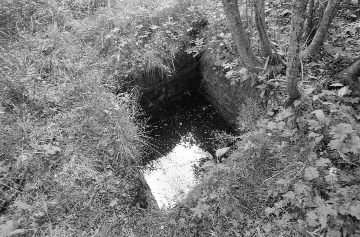 LØVBERGET, NOTLIA, GRUE FINNSKOG i Solør. F. O. M. 12292 T. O. M. 12302. 