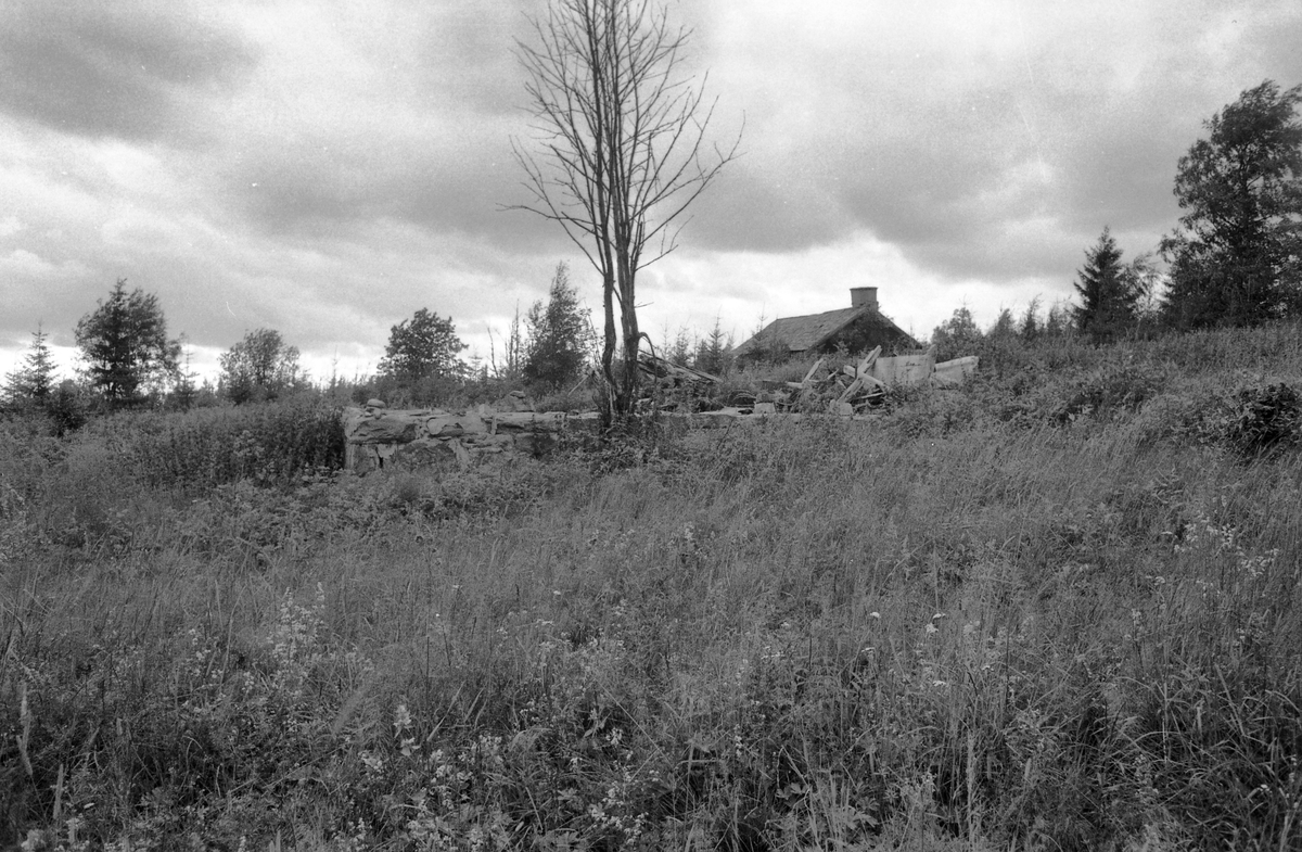 LØVBERGET, NOTLIA, GRUE FINNSKOG i Solør. F. O. M. 12292 T. O. M. 12302. 