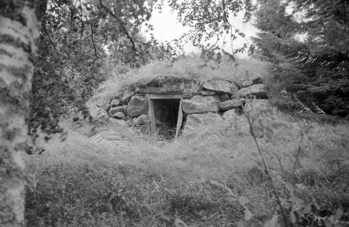 LØVBERGET, NOTLIA, GRUE FINNSKOG i Solør. F. O. M. 12292 T. O. M. 12302. 