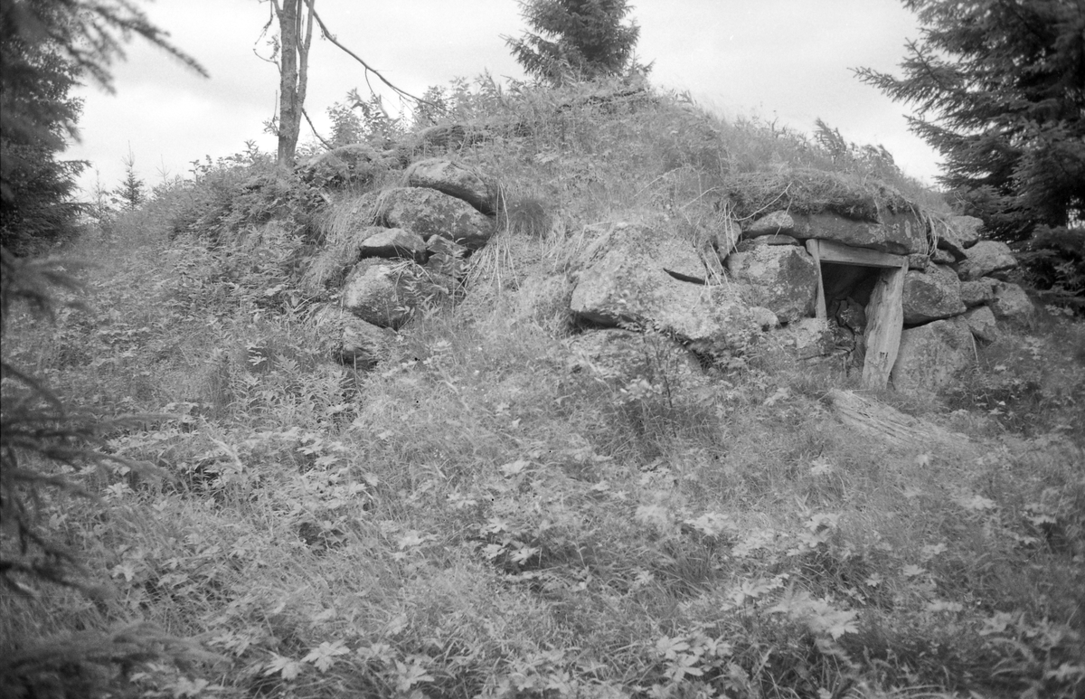 LØVBERGET, NOTLIA, GRUE FINNSKOG i Solør. F. O. M. 12292 T. O. M. 12302. 