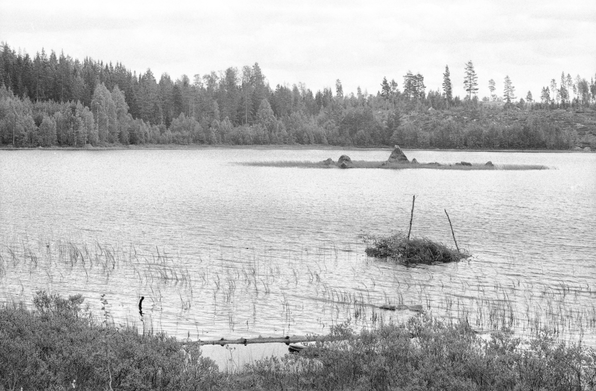 Sootkanalen. I Eidskog? Slusesystem for frakting av tømmer. 