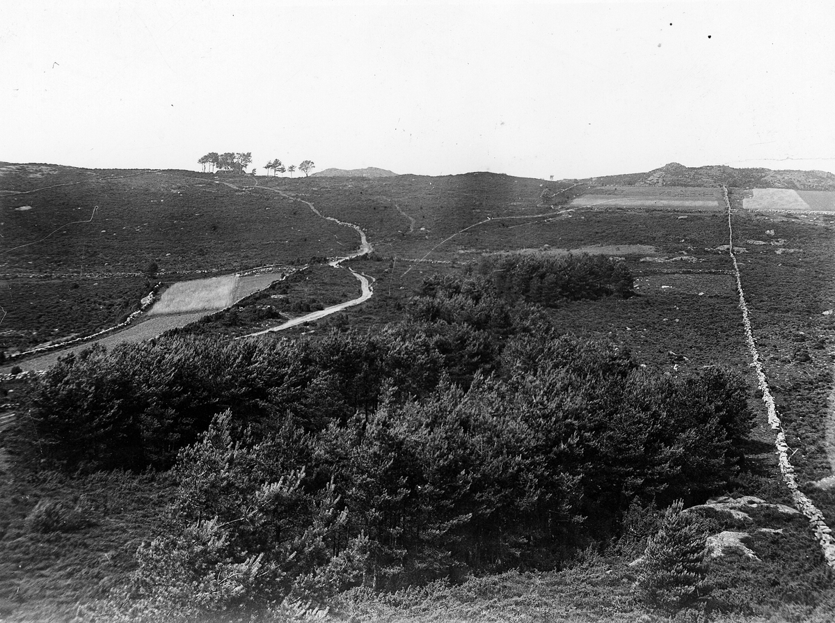 Lindome sn. Totalvy över gravfältsområdet i Gastorp, Lindome. Den raka gärdsgården till höger utgör gräns mellan byarna Gastorp och Bräcka, mellan åkern och vägen i bildens mitt låg de flesta år 1969 undersökta gravarna. Nu övertväras ett brett område i mittpartiet av den nya motorvägen. I bakgrunden moränåsen Karlabräcka med ett torpställe vid träden mot horisonten.