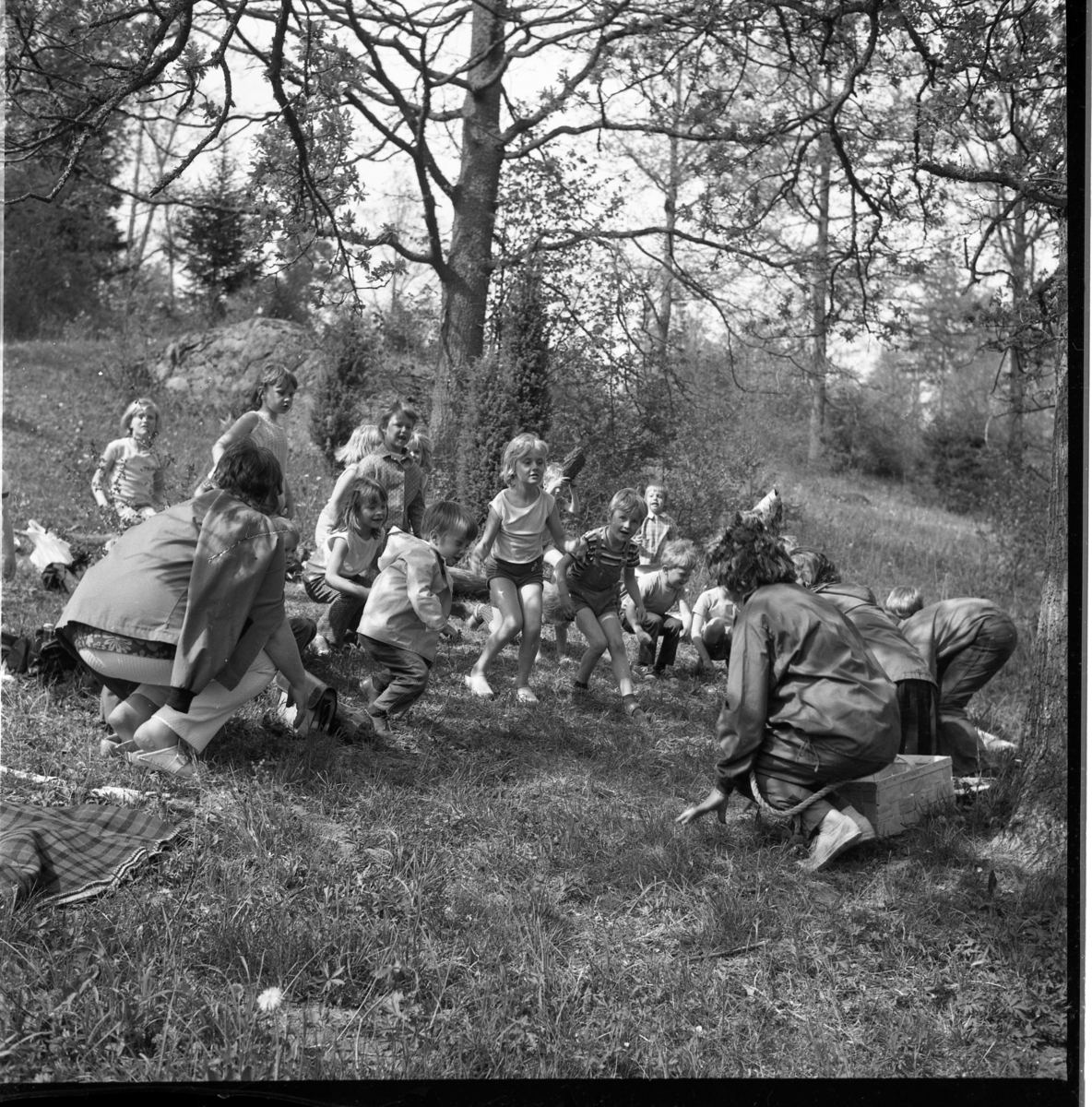 Skogsmulle