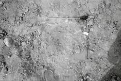 Arkeologisk undersökning. Fastigheten 2:4 öster om Plöjarevä