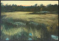 Myr i solnedgang [maling]