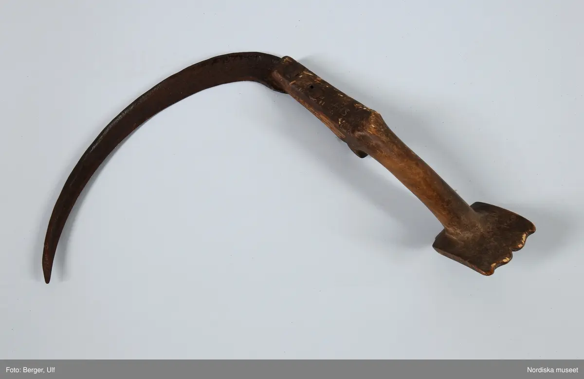 Katalogkort:
"Bladets längd mellan udd och bas 283 mm. Största bredd vid botten 30 mm. Mycket avslipat. Nedtill utsmide till ten, som är omböjd, stucken genom skaftet och nitad. Skaftets största längd 263 mm. Själva handtaget begränsat mot den del som håller bladet, av ett ornamentalt format utsprång, åt nederänden av en i samma stycke skuren skiva, 78 mm lång, 60 mm bred, ornerad på kortsidorna. På skivans undre, konkava sida initialerna AIIS, 4 gånger, placerade i fyrkant. Samma initialer längs skaftets rygg, nära bladfästet, där också på de avfasade kanterna ornamenten (?) XX förekomma. Skaftet av björk, omålat. Skäran har förr använts för att skörda 'fälleråg', råg på svedjeland. Numera pläga dylika brukas att skära potatisblast. Gåva av Karl G. Larsson, Grindsbo, juli 1921."
