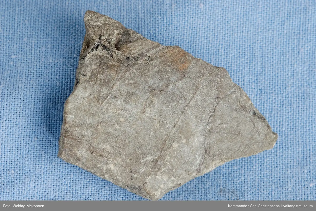 Fossil