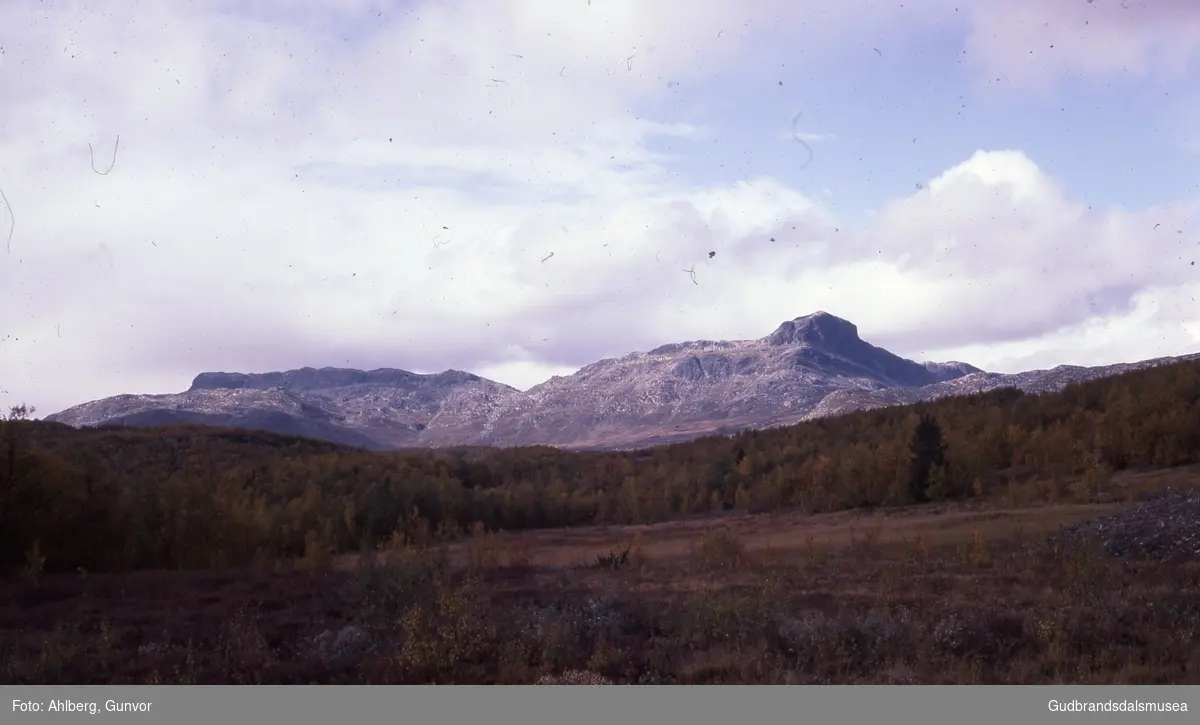 Øystre Slidre 1978
Bitihorn 1607 moh. sett frå Garli