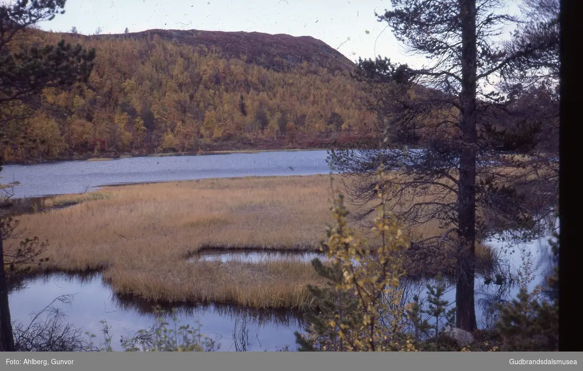 Vågå 1982
Svarttjønne ved vegen Brimi Fjellstugu-Garmo