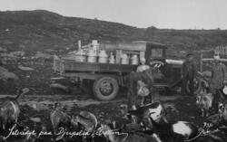 Oppland, Øyer, Øyerfjellet, Nysetra med budeier og ku og gei