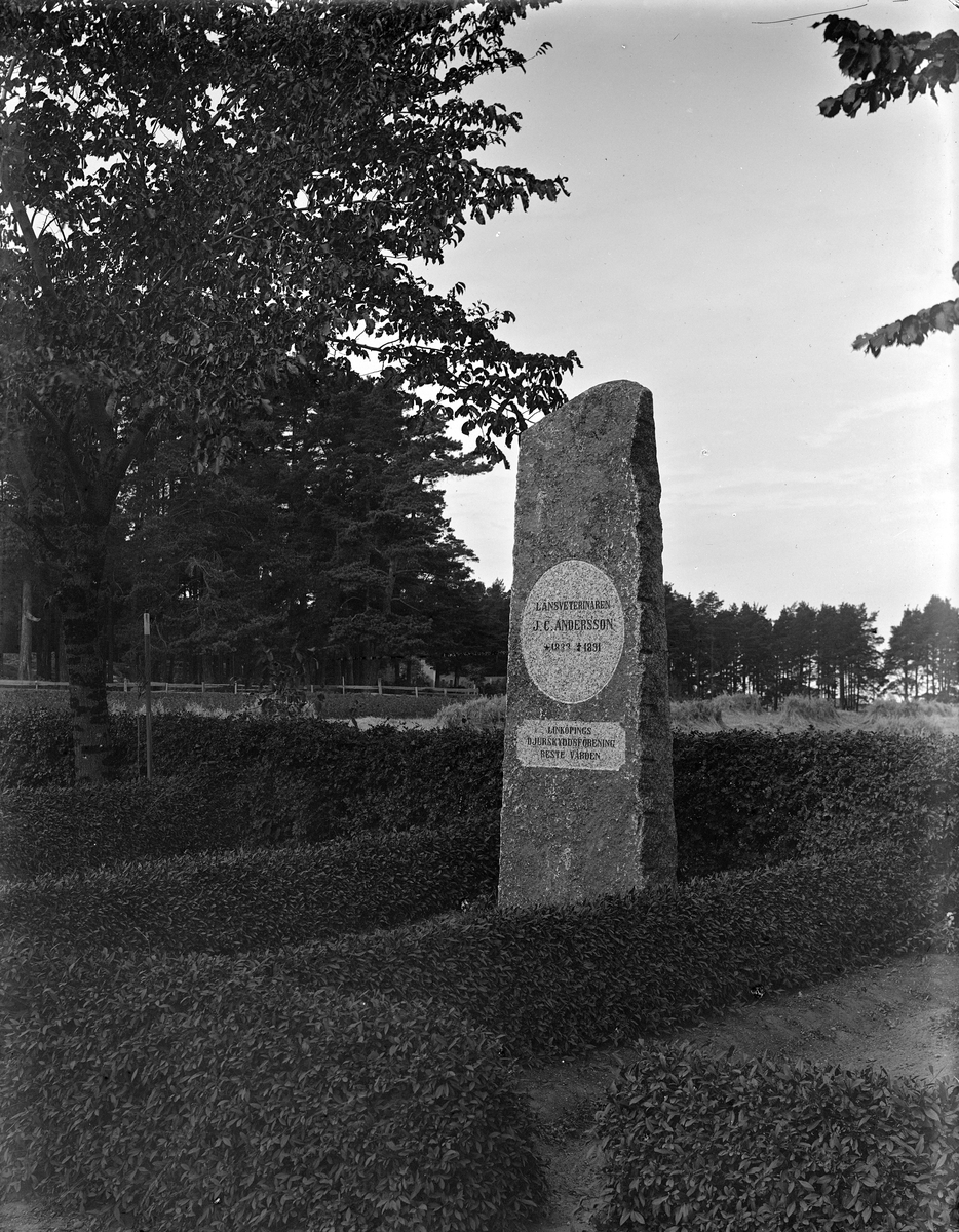 Länsveterinär Jöns Casper Anderssons grav på Linköpings griftegård. Dödsbudet hade nått linköpingsborna genom Östgöta Correspondenten dagen före julaftonen 1891. Mitt i steget, för en veterinär i sin mottagning undersökande en liten hund, hade han plötsligt segnat ned död. Vården restes av Linköpings djurskyddsförening.