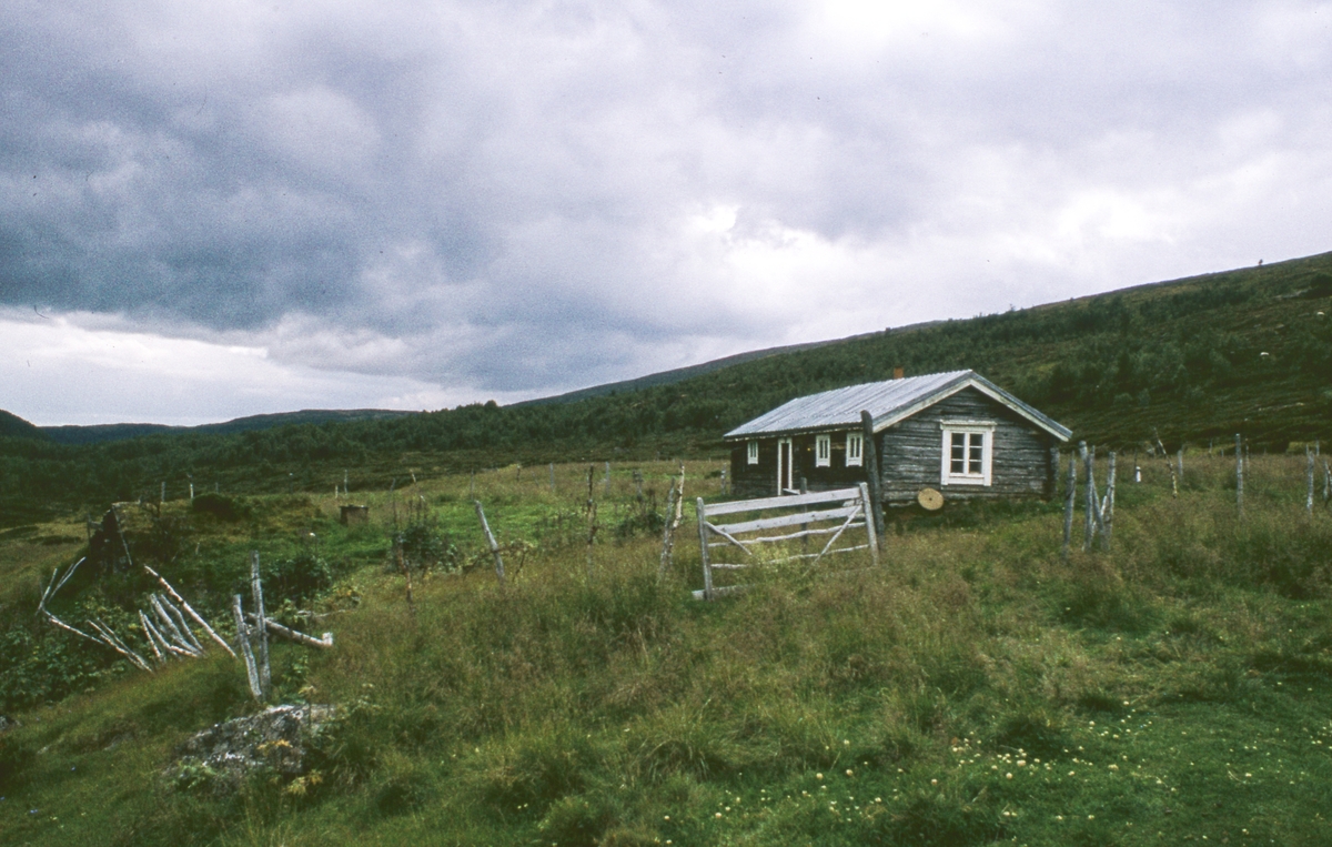 Befaring Innerdalen 1978