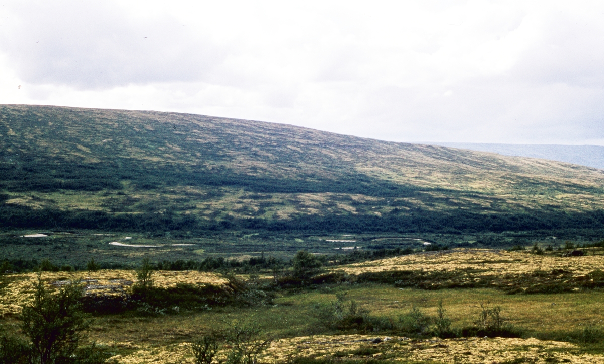 Befaring Innerdalen 1978