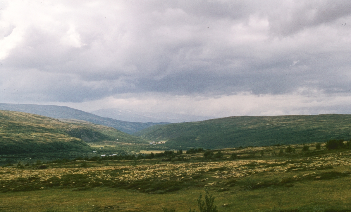 Befaring Innerdalen 1978