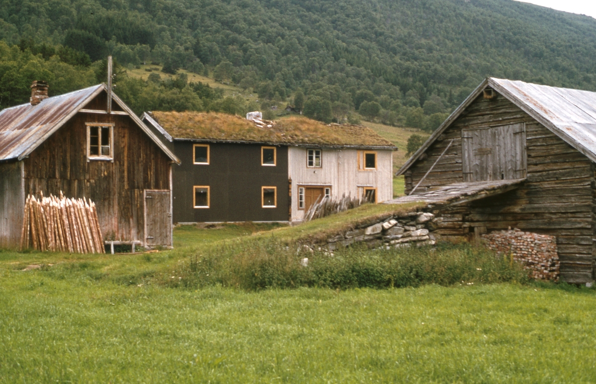 Befaring Innerdalen 1978