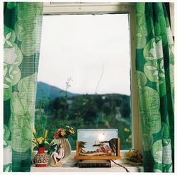 En skadet Venus i vinduet [Fotografi]