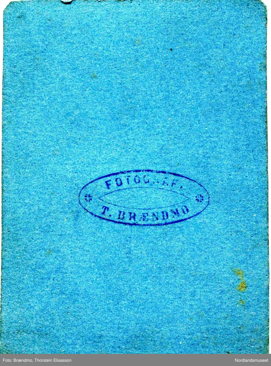 Portrett av et ukjent ektepar, mannen med skjegg og langt hår sitter på en krakk, kvinnen i sort kjole.