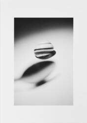 Ur serien: Perfume de Lumiere [Fotografi]