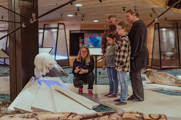 The picture shows a family with two adults and two children who together with a museum guide study a polar fox.
